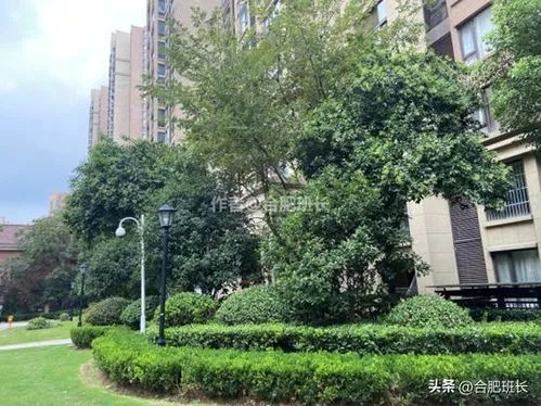 成都规范小区命名，万国宇宙等词禁用，小区名该回归什么？