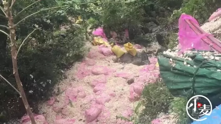 河南货车侧翻遭哄抢,莫让贪念践踏底线