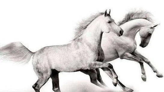 这3个带马的成语,简直是把力量感焊在骨子里!太给劲了!